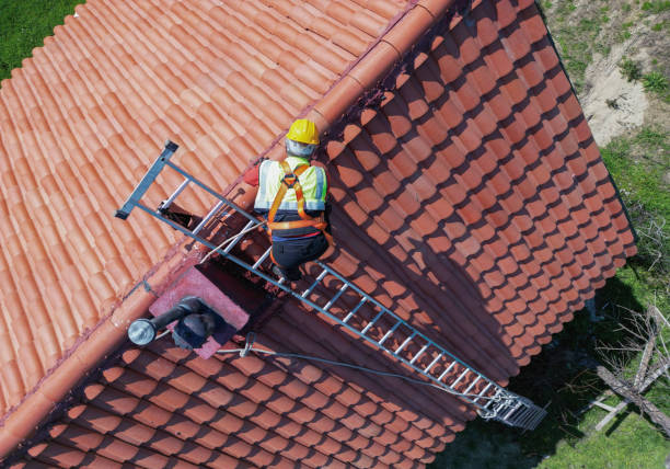 Best Asphalt Shingle Roofing  in Timber Pines, FL